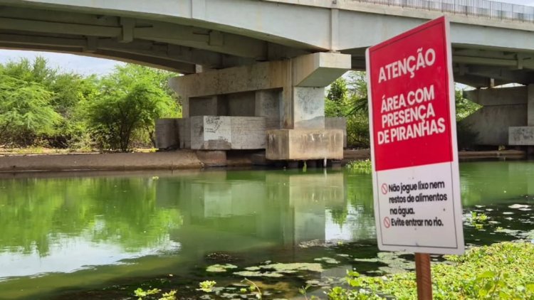 PREFEITURA INSTALA PLACAS DE ALERTA EM PREVENÇÃO A ATAQUES DE PIRANHAS NO RIO AÇU